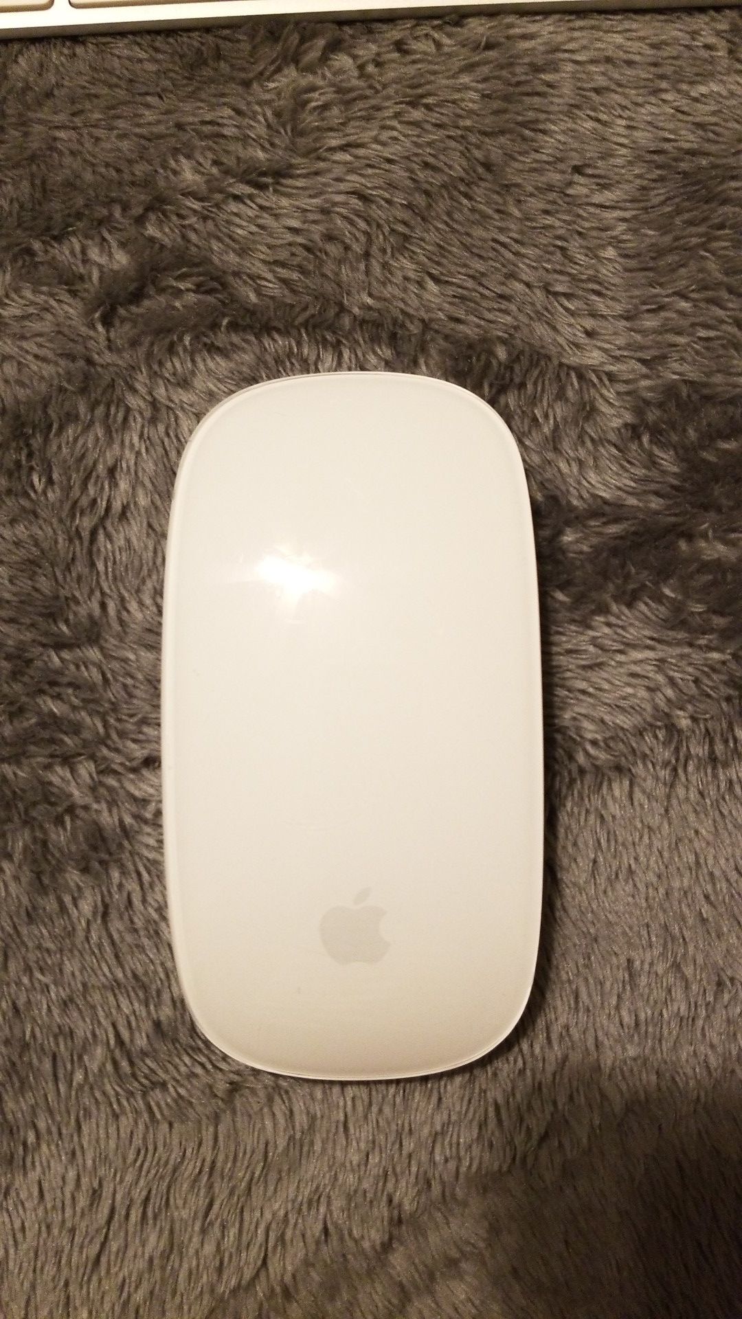 Apple magic mouse
