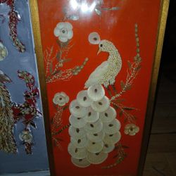 Panasonic Con Real Concha