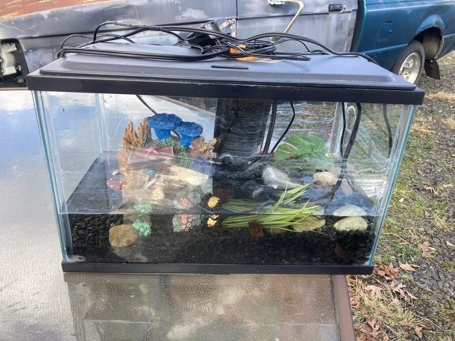 Fish Tank