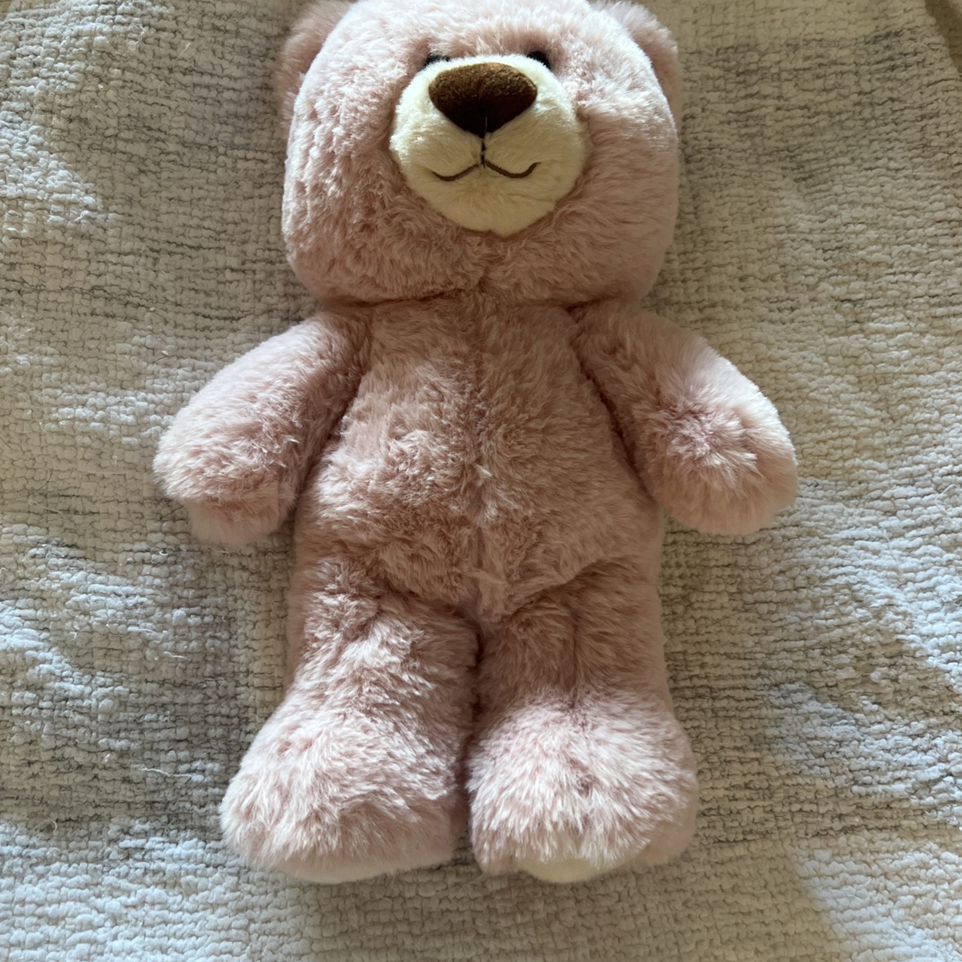 Teddy Bear New Baby Toy 