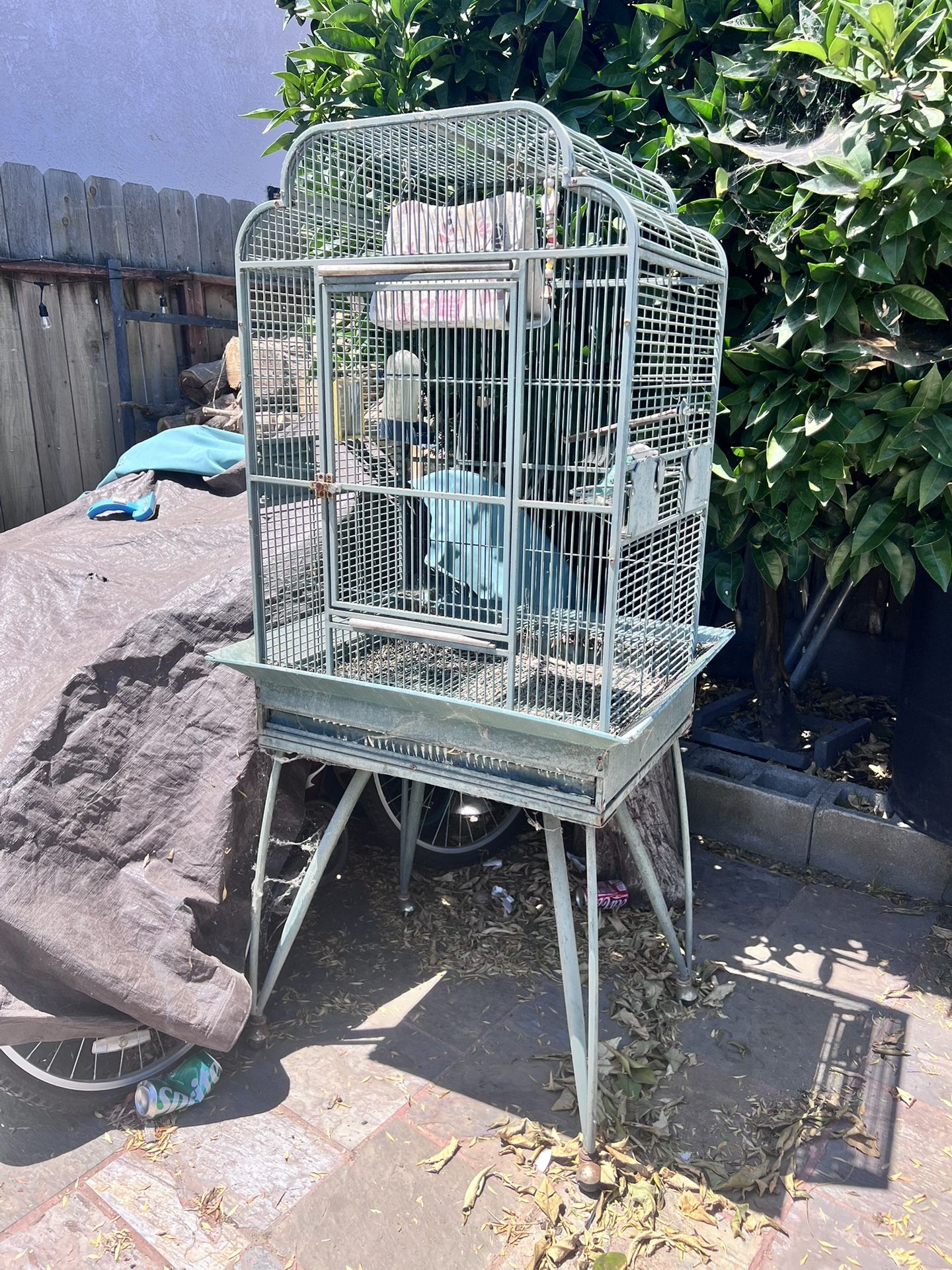 Bird Cage Iron