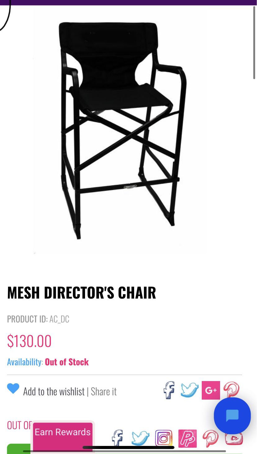 Mesh Directors Chair 