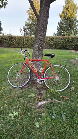 Trek Pro Series bicycle