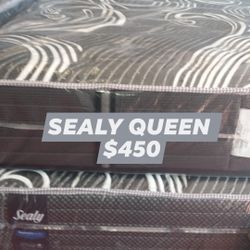 Queen Sealy