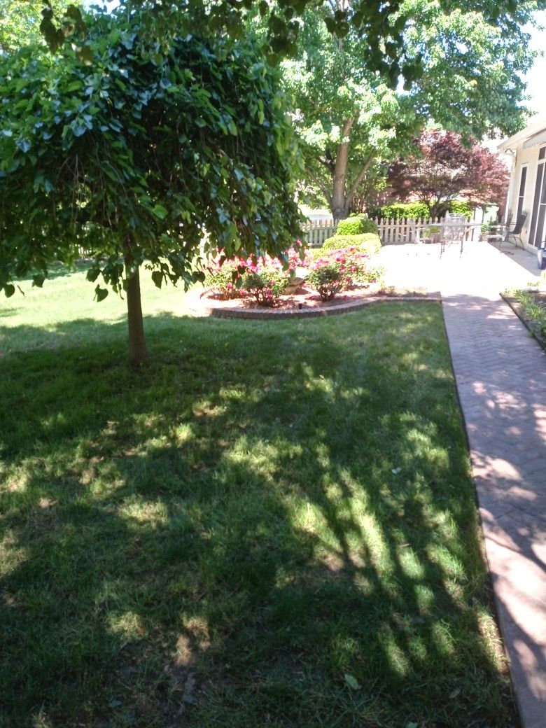 Lawns