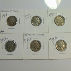 Set of  (6) Buffalo Nickels for Collecting
