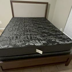 New Queen + Mattress Set