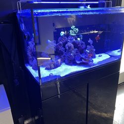 70 Gallon Fish Tank 