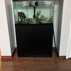 Large Tank and Stand 