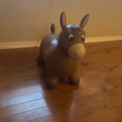 Inflatable Bouncy Horse