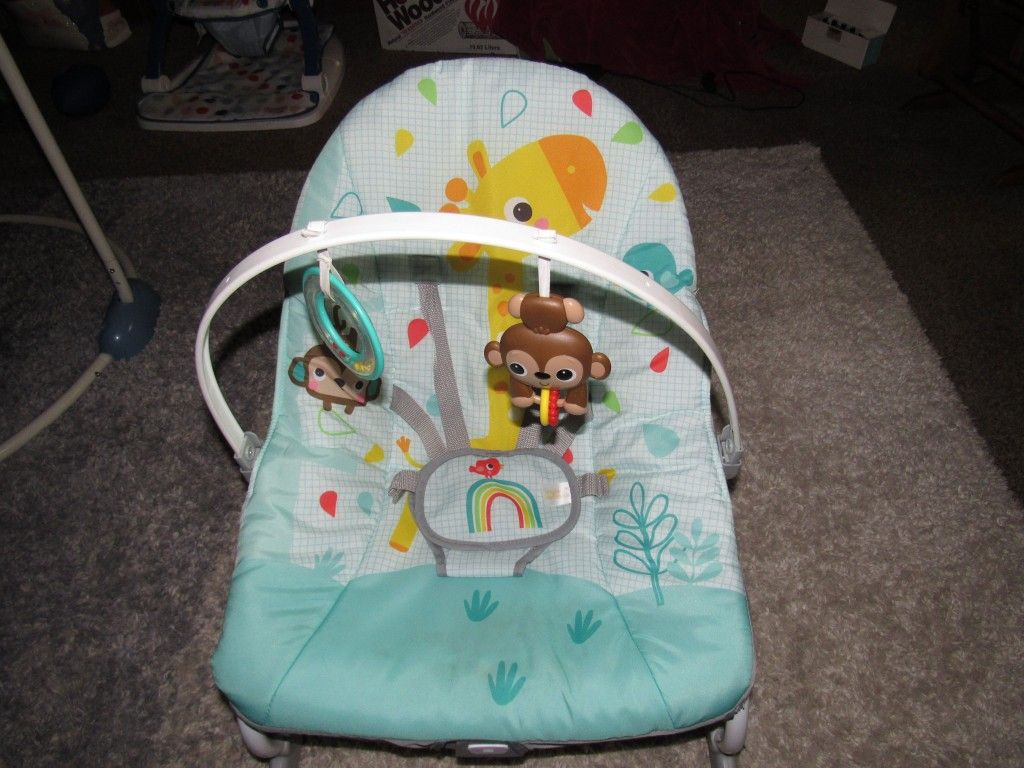 Bright Starts Wild Vibes Baby Infant to Toddler Rocker Chair with Vibrations 