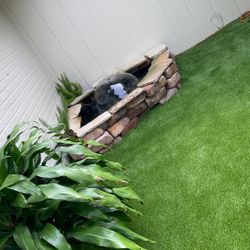 Small Ponds Building/ Cleaning Also Fresh Water Fish Tanks Installs 