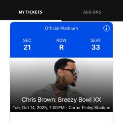 Chris Brown Breezy Bowl