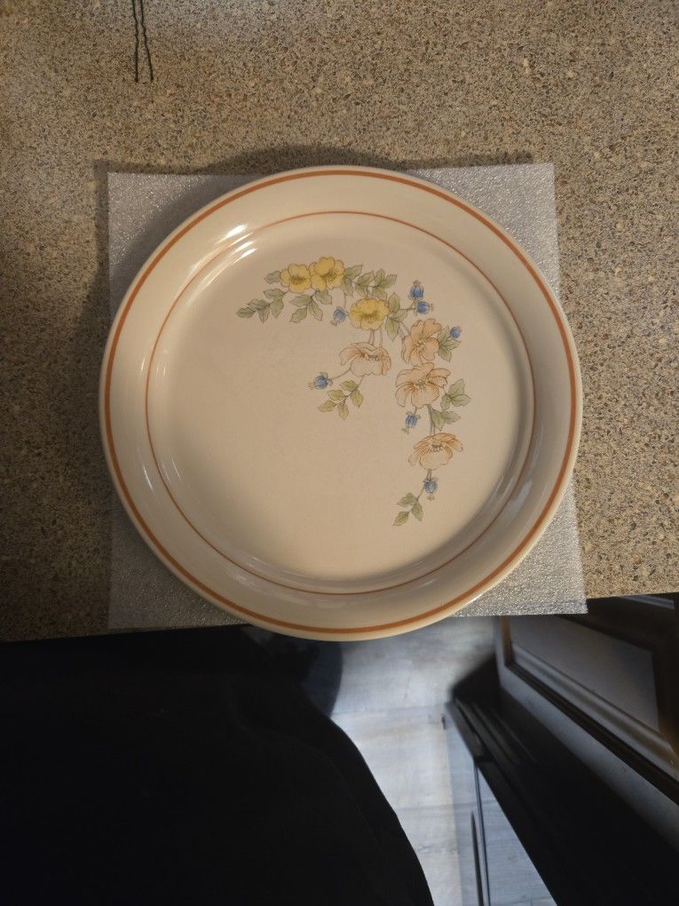 12 Corelle Plates