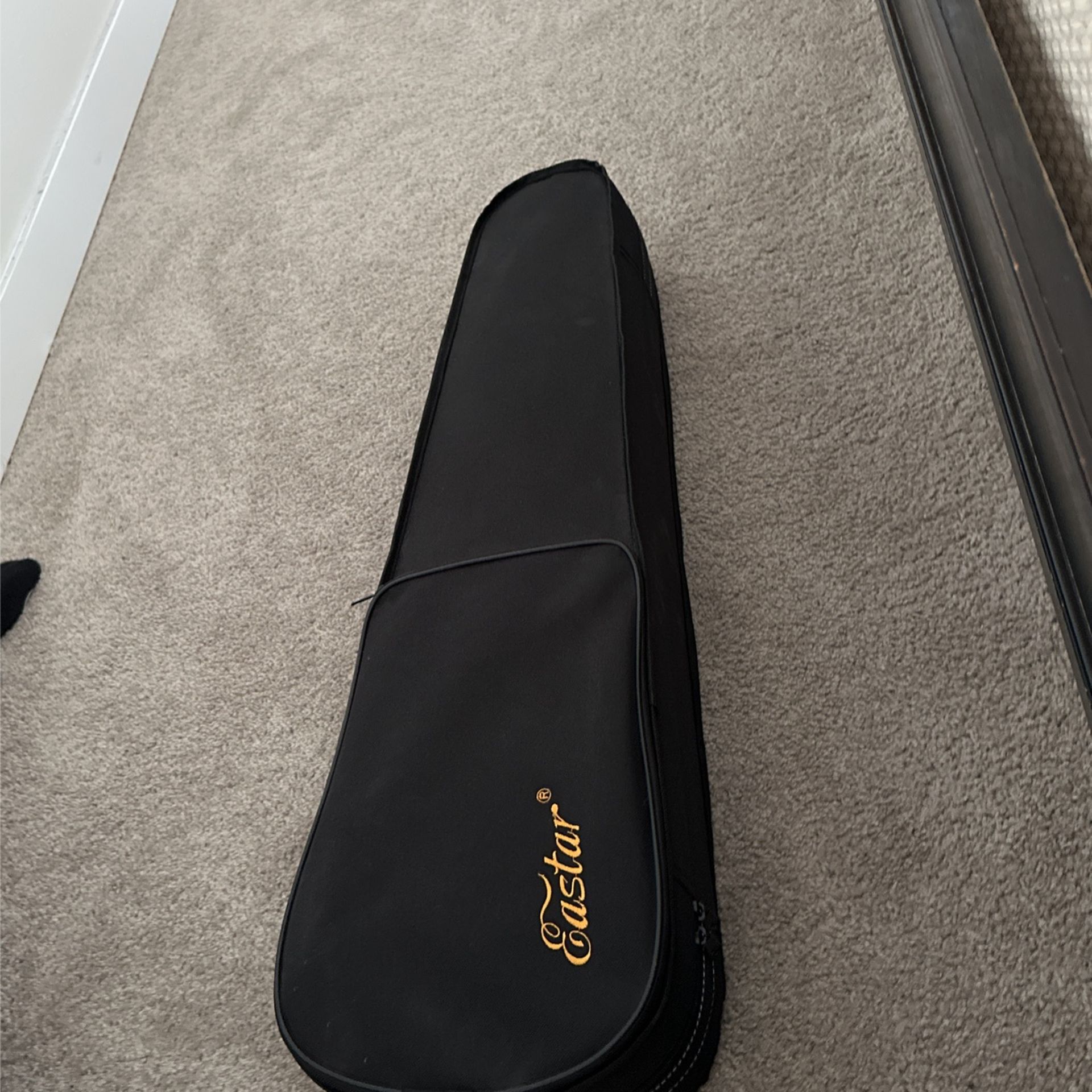 Violin Brand New