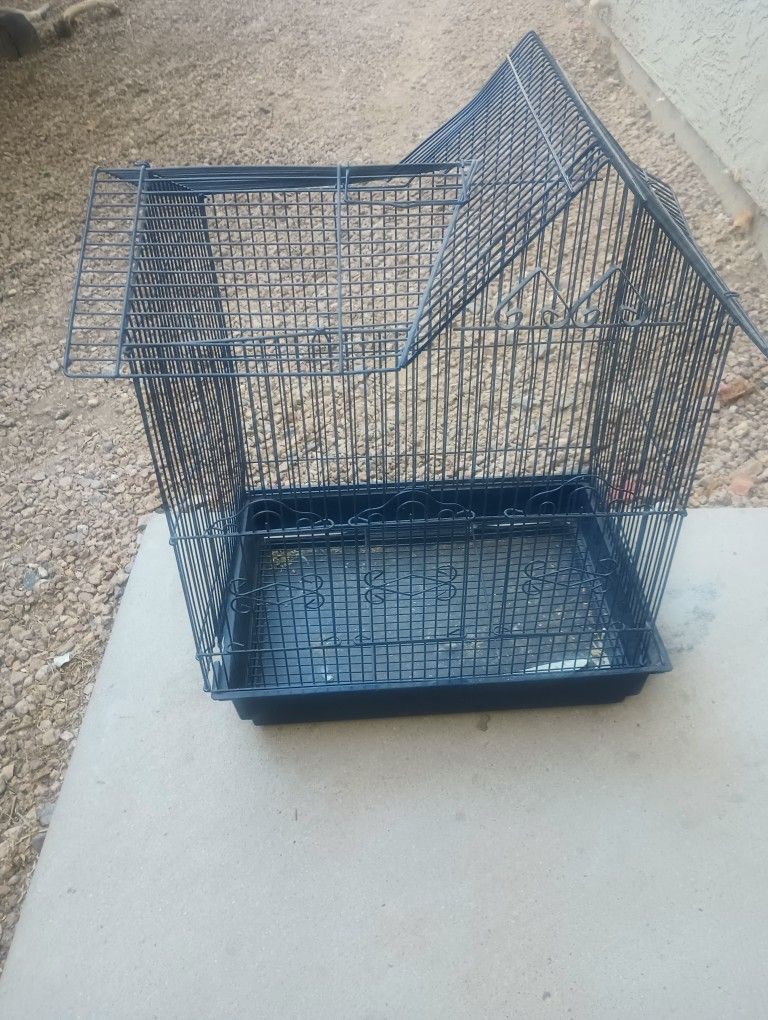 Bird Cage