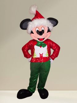 Mr Raton Costume Mascot For Sale