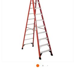 Werner 10ft Ladder