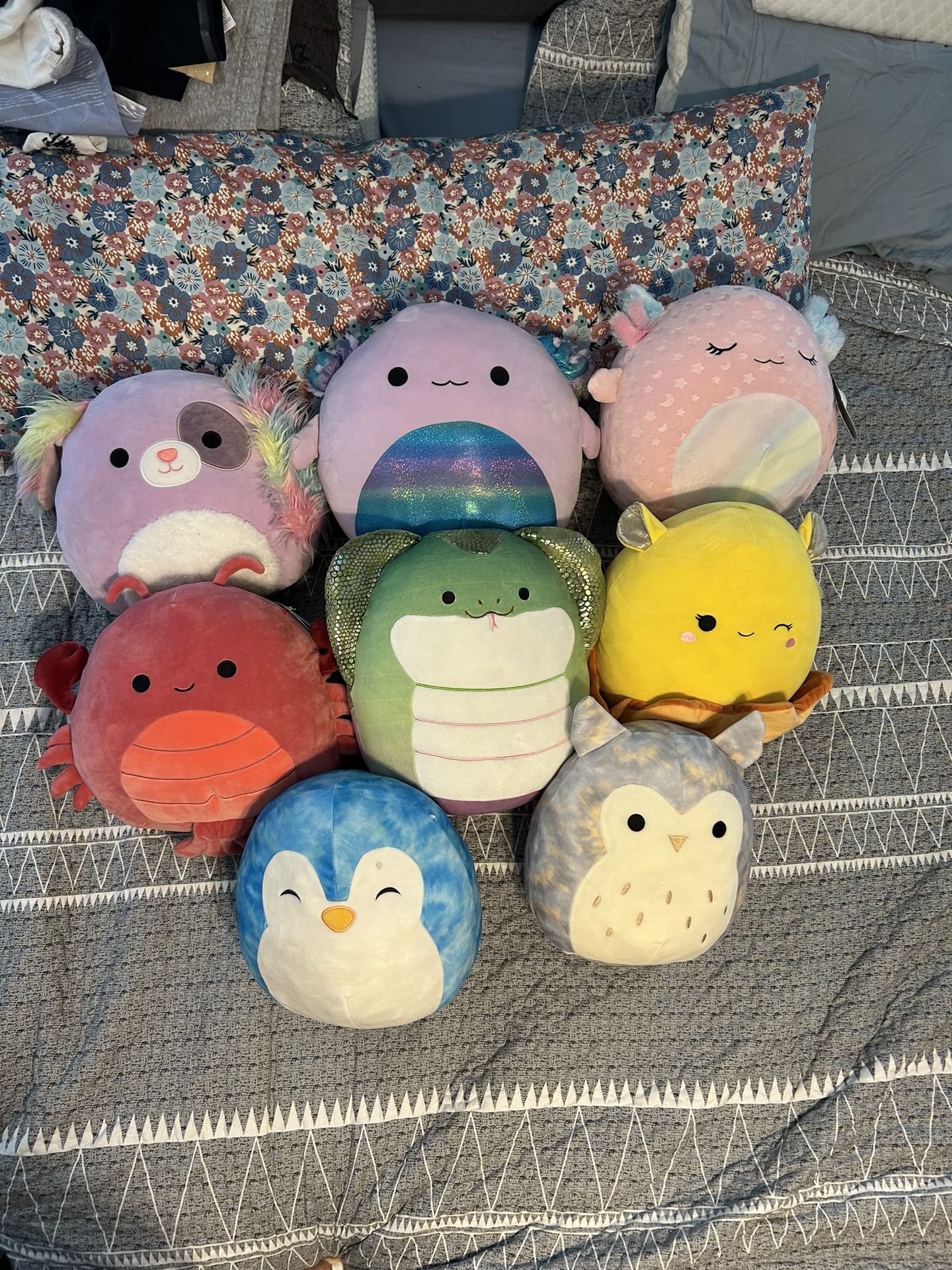 Squishmallows Lot Of 24!