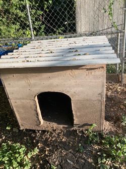 Dog house