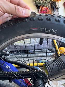 Trek Precaliber 20" Kids Bike
