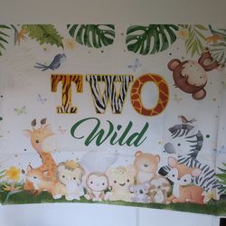 " Born two be wild" 2-Year-Old birthday decorations