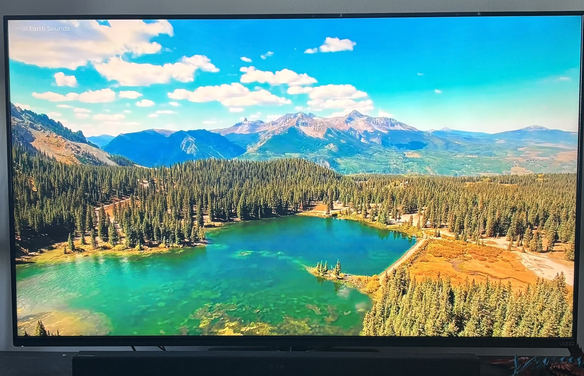 60 Inch Vizio HD tv