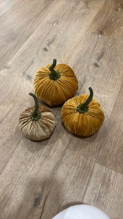 Velvet Pumpkins