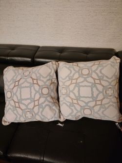 2 Decorative Throw Pillows