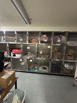 Stainless Steel Veterinary Kennel Bank Shoreline KCMO