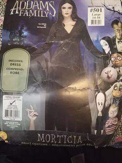 Addams Family Morticia Adult Costume Large