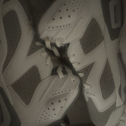 Jordan Retro 6 (Cool Grey)