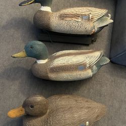3 DUCK DECOYS