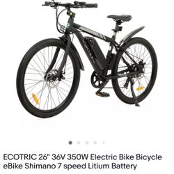 350 Watts Electric Bike 