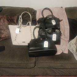 Carteras