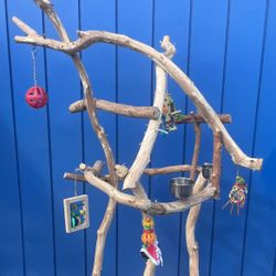 Dual Level Macaw Cockatoo Perch Tree … Loved By Gnarly Macaws , Smaller Base Fits Almost Anywhere !!