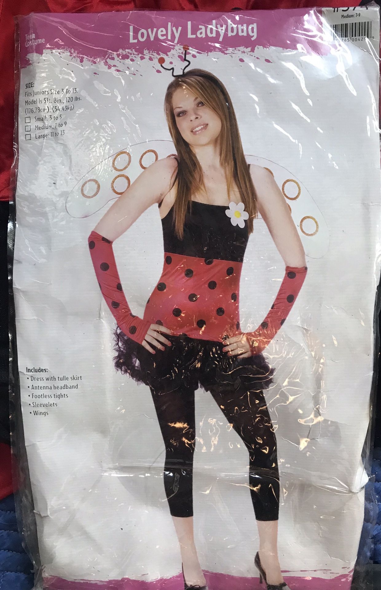 Lovely Ladybug Costume