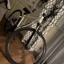 Custom Bike