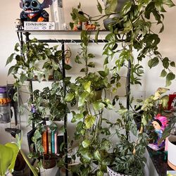 Clothes Rack/ Plant Stand 