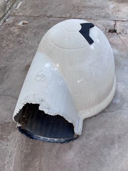 Indigo dog house