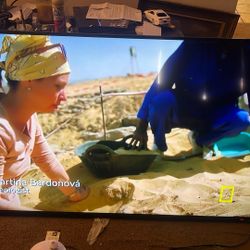 70 Inch Vizio Tv