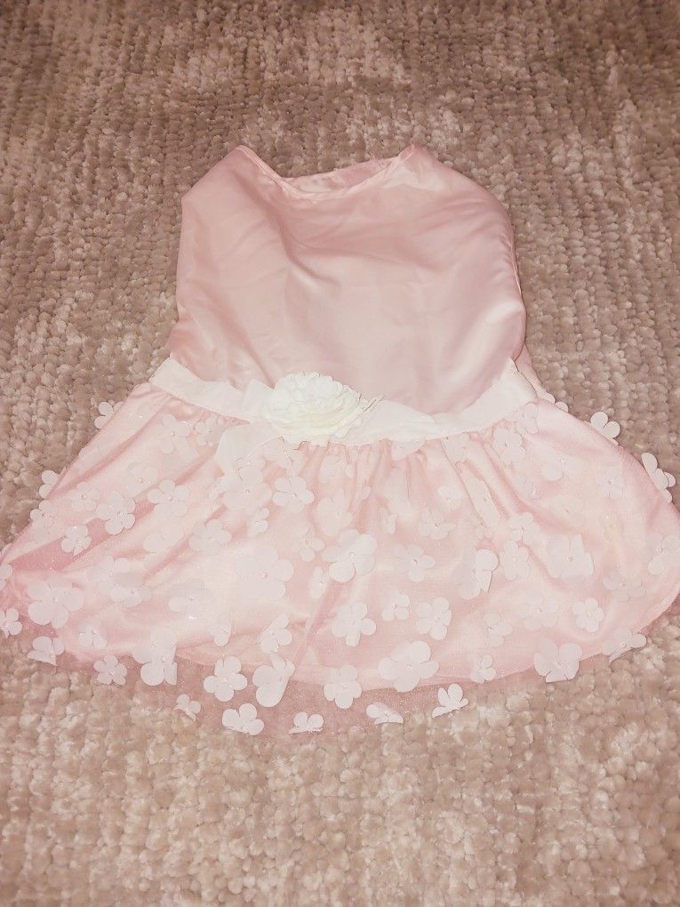 Dog Clothes Bundle