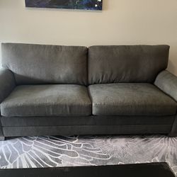 Grey Pullout Sofa With Queen Bed