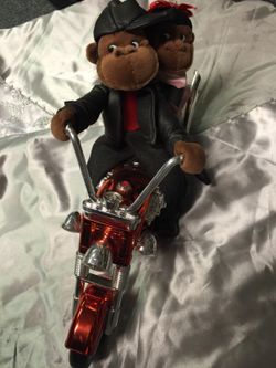 Monkeys in motorcycle