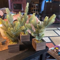 Artificial Pines 3”x10”    4$ Each Or All 3/10$