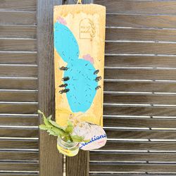 Rustic wall decoration with little plant 🪴