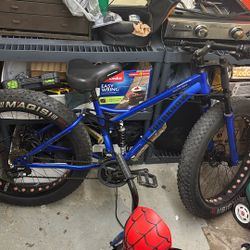 Blue Mountain Bike