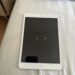 iPad Mini 