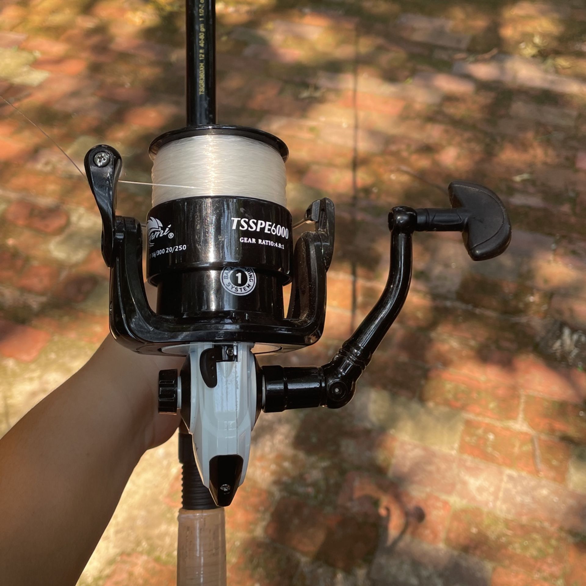 Fishing Rod