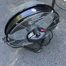 Fan
